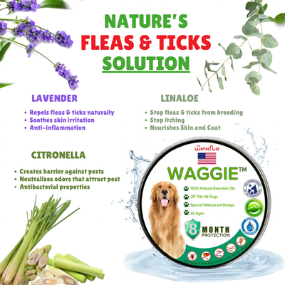 Waggie™ - Natural Anti-Flea, Tick, & Mosquito Collar (Safest 8+ Months Protection)