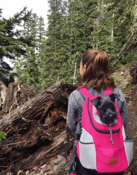 WagBag™ - Comfy Dog/Cat Carrier Backpack