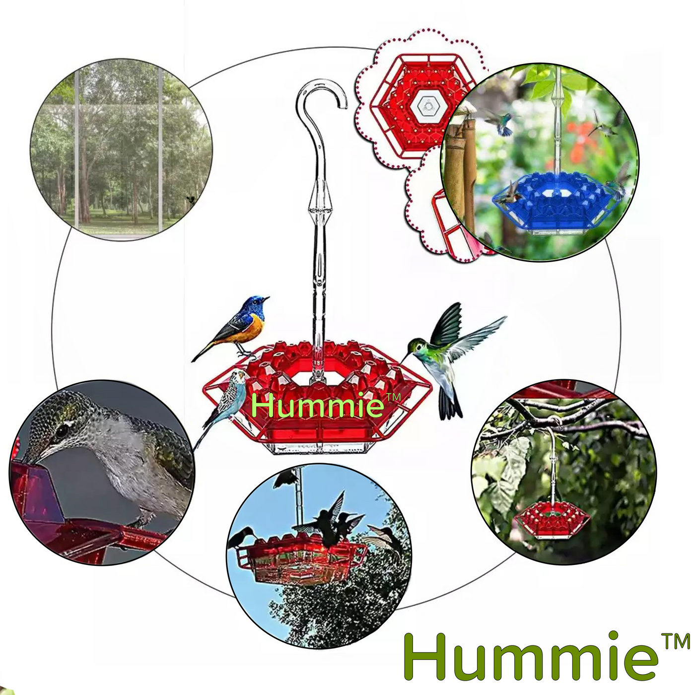 Hummie™ - Mary's Sweety Hummingbird Feeder with Perch (Ant-Proof)