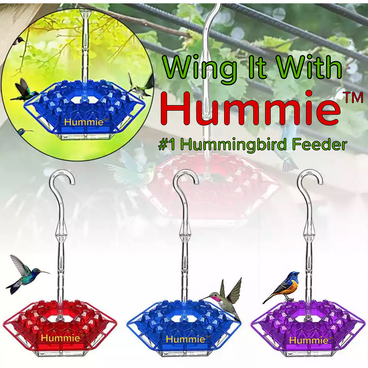 Hummie™ - Mary's Sweety Hummingbird Feeder with Perch (Ant-Proof)