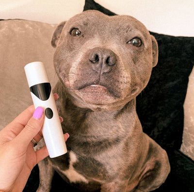 PediPaws™ - Painless & No-Mess Nail Grinder for Pets