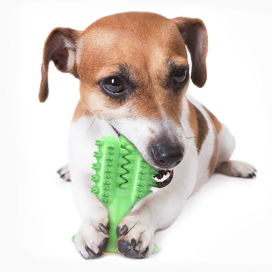 WagChew™ - Dog Toothbrush Cactus Toy