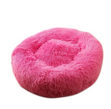 Fuchsia Pink