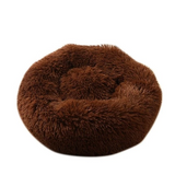 Chocolate Brown