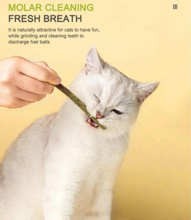 WagStick™ - Natural Catnip Mint Sticks (Teeth Cleaner)