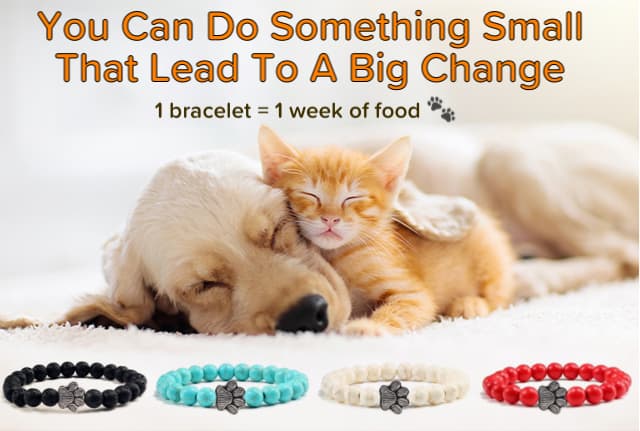 WagBracelet™ - "Save A Pet" Bracelet