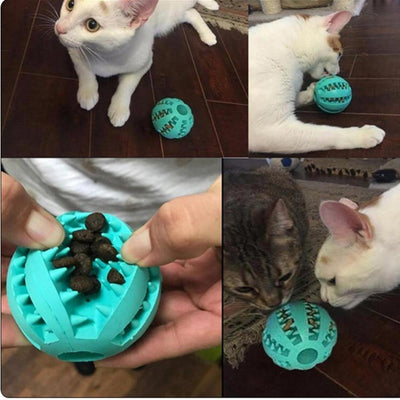 WagBall™ - Dental Chew Toy